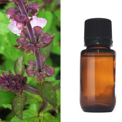 Hương Nhu  - (Gratissimum oil)