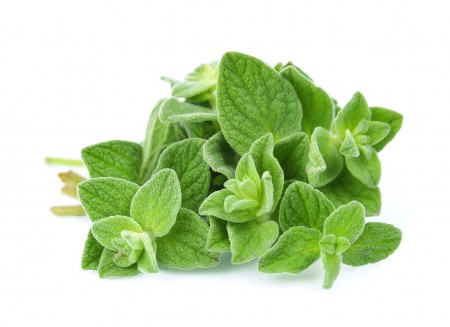 Tinh dầu Kinh giới Ô - Oregano Essential Oil