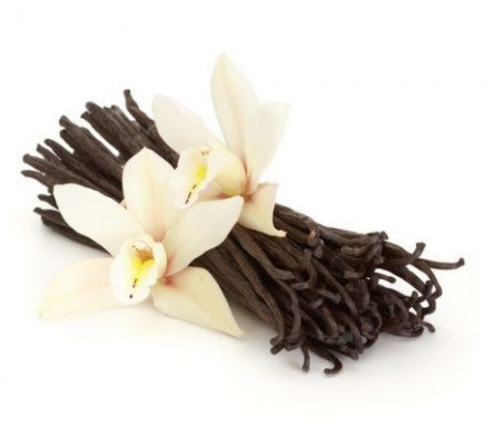 Tinh dầu Vani – Vanilla Essential Oil