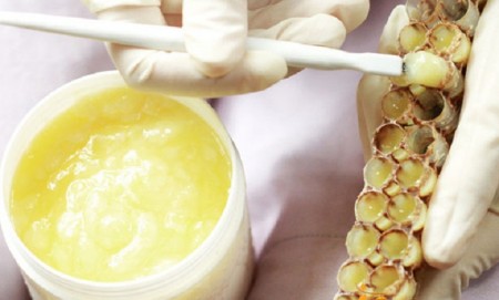 [Nguyên liệu thực phẩm chức năng] Royal jelly (Sữa ong chúa)