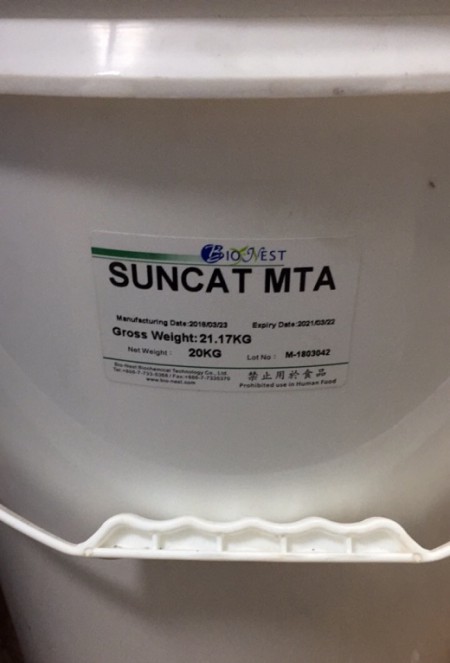 SunCat MTA