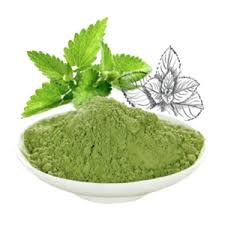 [Nguyên liệu thực phẩm chức năng] Cao khô diếp cá Houttuynia cordata Thunb. extract