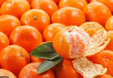 Tinh dầu vỏ quýt (trần bì) – Mandarin Essential Oil